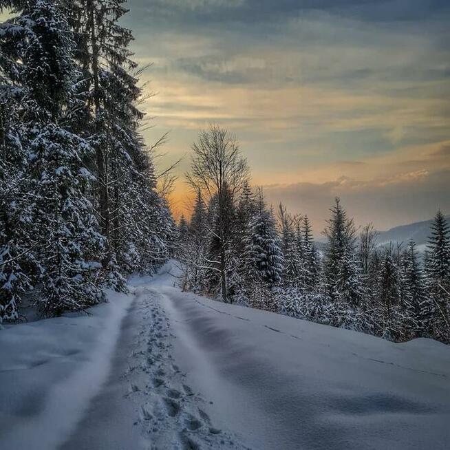 Domek w górach z sauna, gorąca beczka gratis