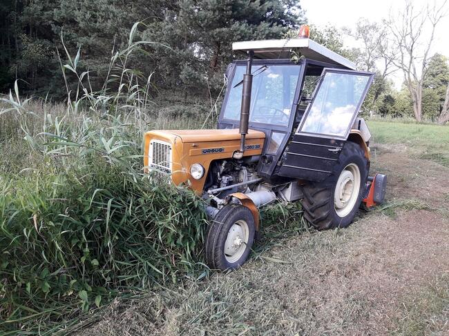 Koszenie nieużytków, łąk, ugorów kosiarką bijakową