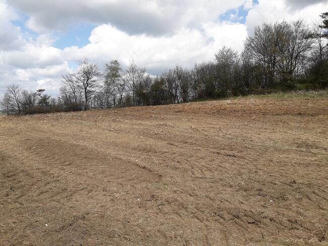 Koszenie nieużytków, łąk, ugorów kosiarką bijakową