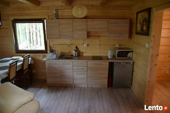 ZACISZE LEŚNE-Domek do wynajecia! Noclegi! Weekend