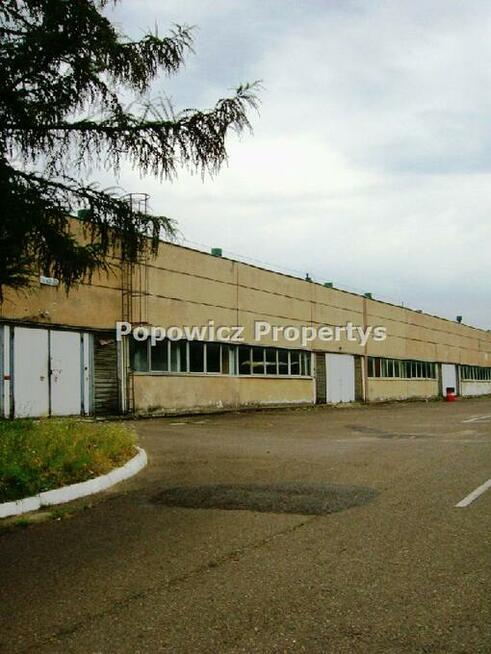 Lokal użytkowy Przemyśl, Monte Cassino