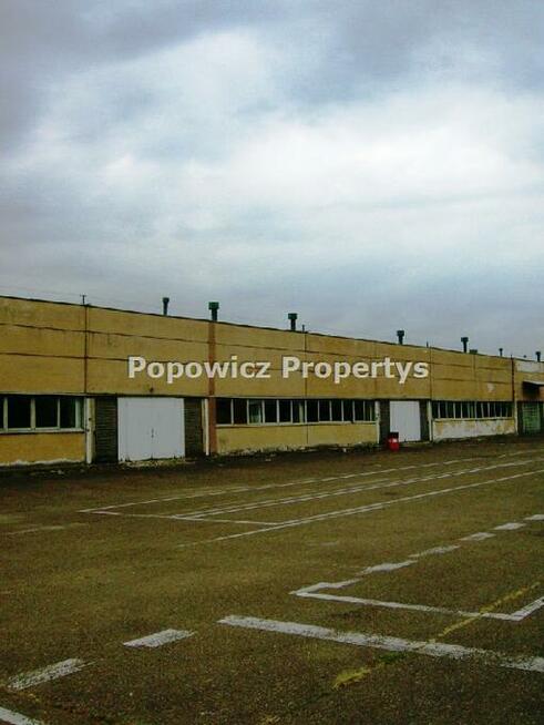 Lokal użytkowy Przemyśl, Monte Cassino