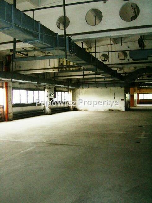 Lokal użytkowy Przemyśl, Monte Cassino