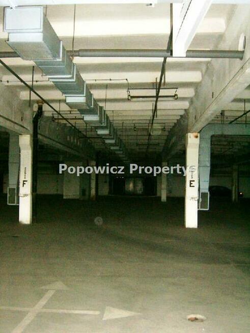 Lokal użytkowy Przemyśl, Monte Cassino