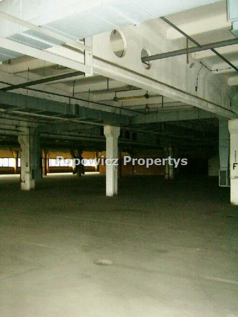 Lokal użytkowy Przemyśl, Monte Cassino