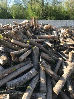 Przyjmę drewno, konary, gałęzie, choinki