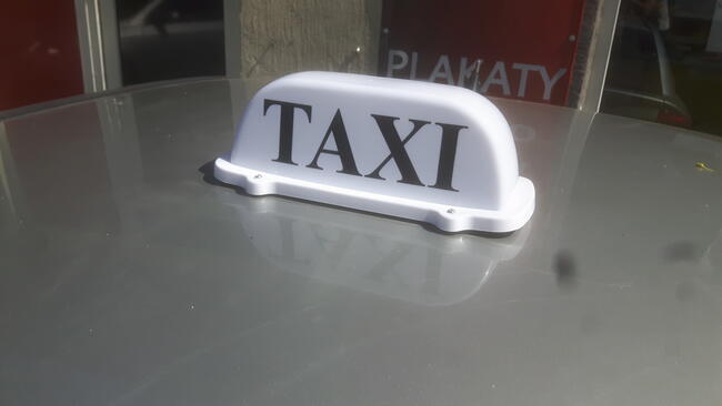 KOGUT taxi szpakówka gapa na magnesie biały kogut Kraków wys