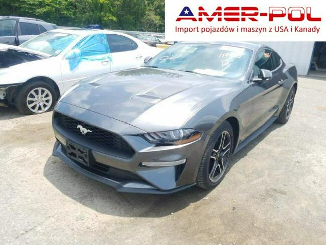 Ford Mustang 2018, 2.3L, po gradobiciu