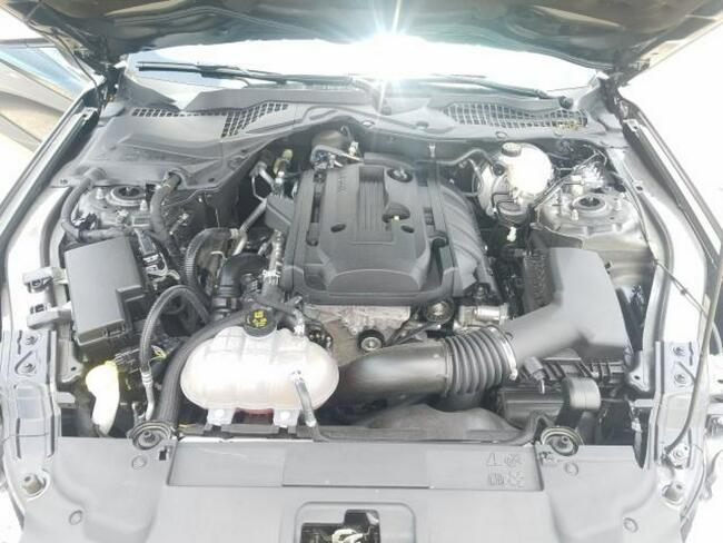 Ford Mustang 2018, 2.3L, po gradobiciu