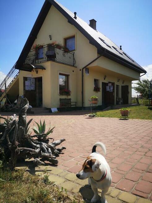 POLE NANIOTOWO - KEMPINGOWE 76-212 ROWY ul. BAŁTYCKA 17