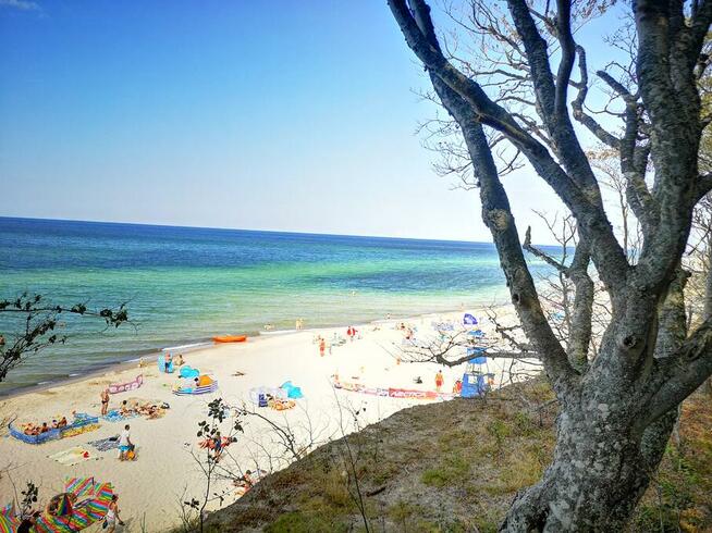 Usługi detektywistyczne, Prywatny detektyw, Tani detektyw