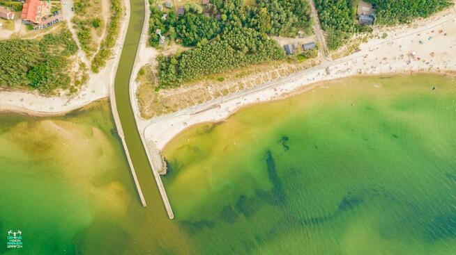 Usługi detektywistyczne, Prywatny detektyw, Tani detektyw