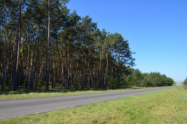 NIŻSZA CENA!! Sprzedam gospodarstwo rolne w Gaju gm. Dąbie