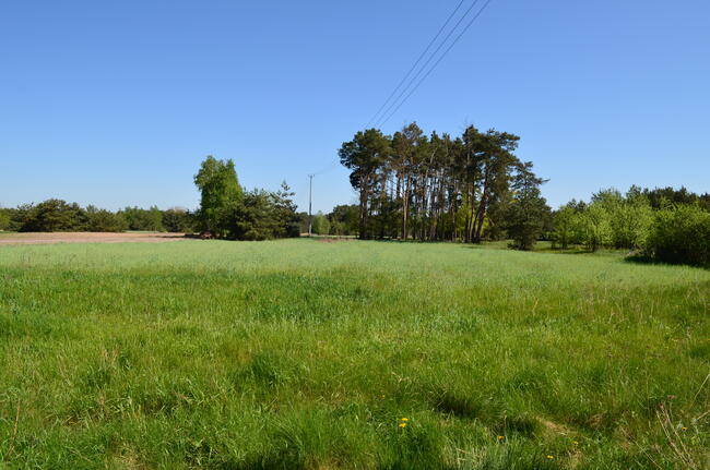 NIŻSZA CENA!! Sprzedam gospodarstwo rolne w Gaju gm. Dąbie