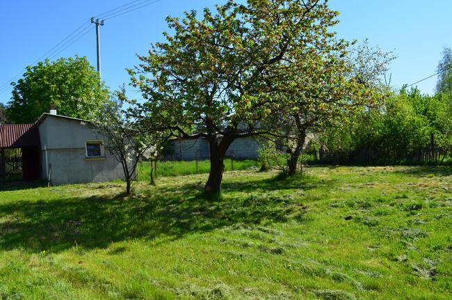 NIŻSZA CENA!! Sprzedam gospodarstwo rolne w Gaju gm. Dąbie