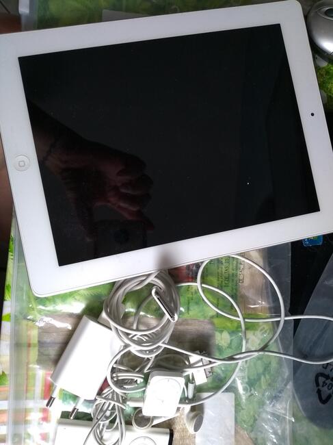 IPad 32GB+iPhone SE Gold