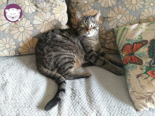 Wilga - pokocha Cię bezwarunkowo