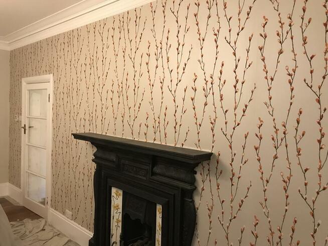 Malowanie gładzie tapety rigips