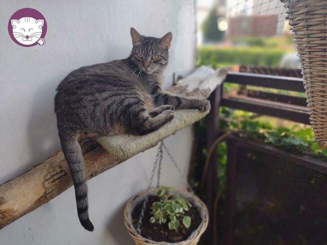 Wilga - pokocha Cię bezwarunkowo