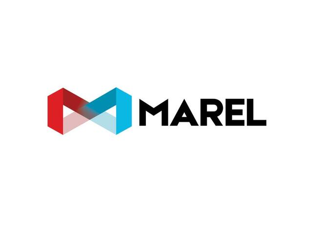 VIESSMANN SERWIS w firmie MAREL