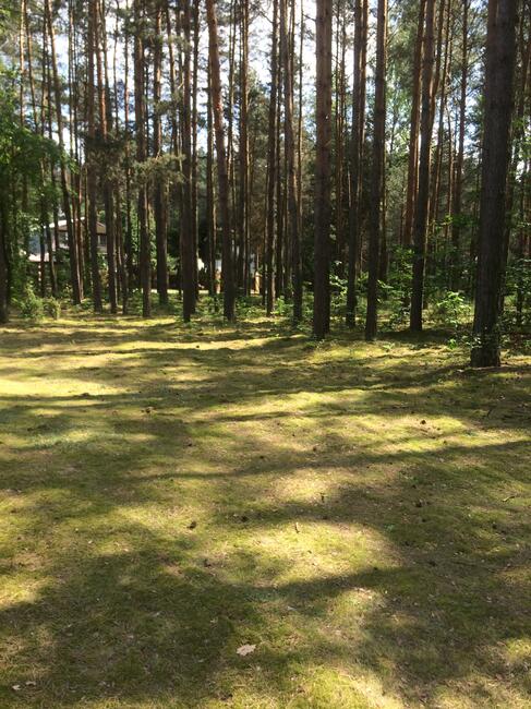Sprzedam atrakcyjną działkę