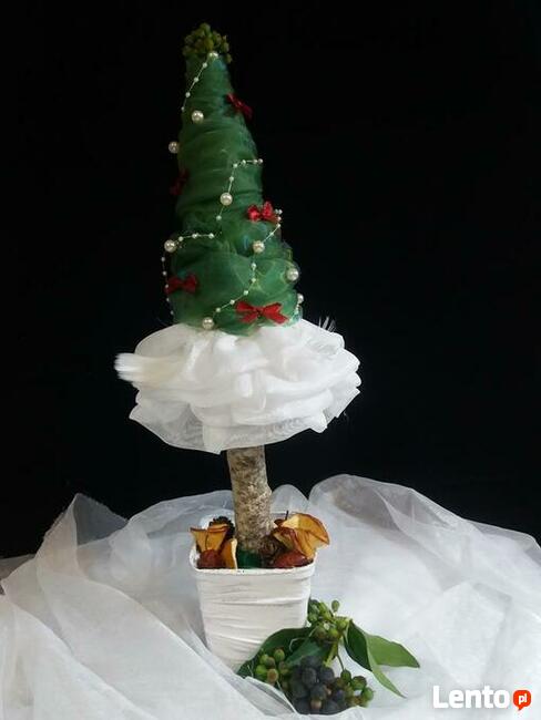 Terapeuta zajęciowy- zapisz się już dziś! Trwa nabór!