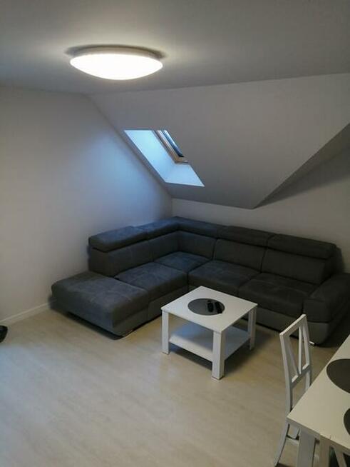 wynajem apartamentów w Polsce