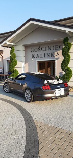 Wynajme samochód do ślubu- auto na wesele Mustang GT