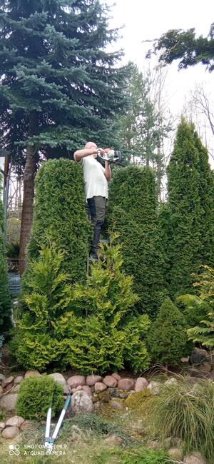 Formowanie żywopłotu, drzew i krzewów. BanGarden