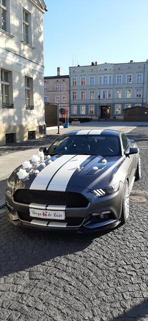 Wynajme samochód do ślubu- auto na wesele Mustang GT