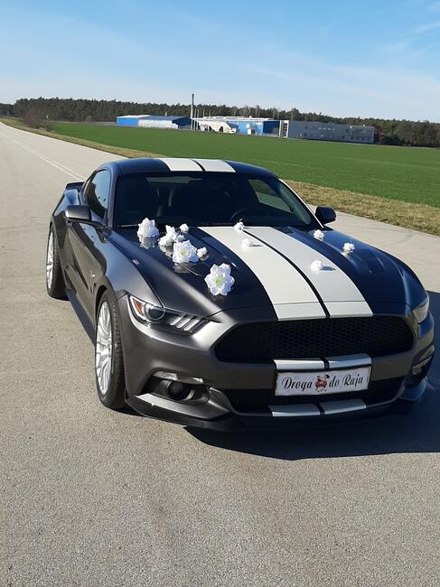 Wynajme samochód do ślubu- auto na wesele Mustang GT