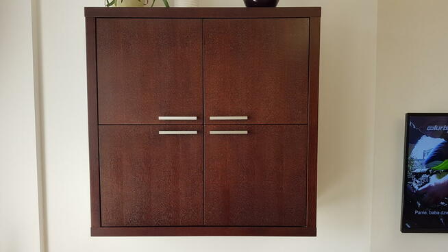 Carina Paget meble, szafka wisząca , półka, szafka RTV zesta