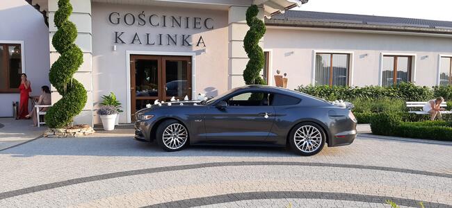 Wynajme samochód do ślubu- auto na wesele Mustang GT