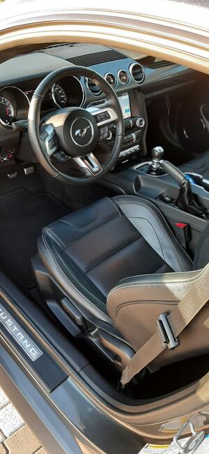 Wynajme samochód do ślubu- auto na wesele Mustang GT