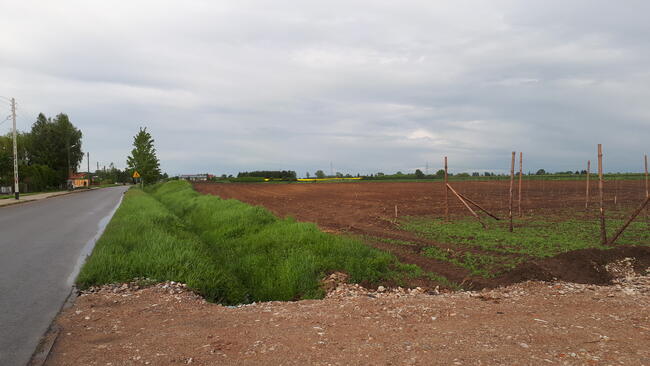 działka zagrodowo-siedliskowa, Kutno, Sieciechów