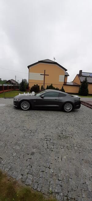 Wynajme samochód do ślubu- auto na wesele Mustang GT