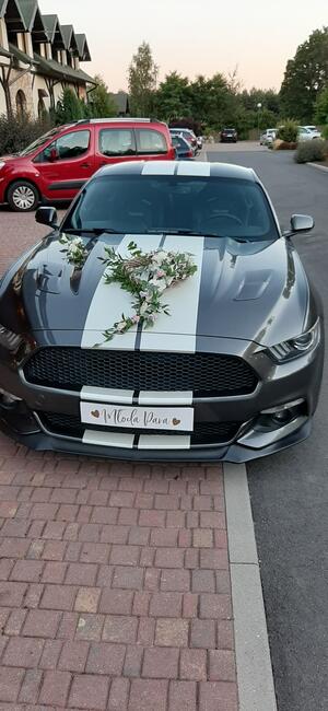 Wynajme samochód do ślubu- auto na wesele Mustang GT