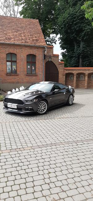 Wynajme samochód do ślubu- auto na wesele Mustang GT