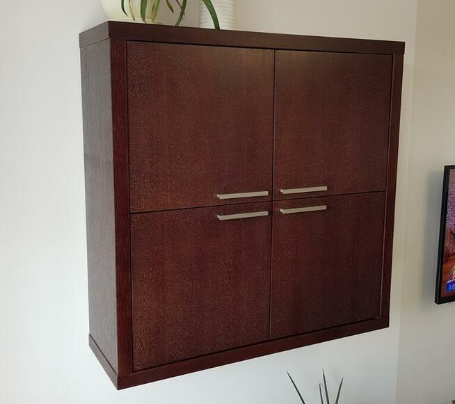 Carina Paget meble, szafka wisząca , półka, szafka RTV zesta