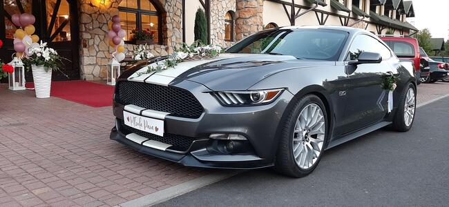 Wynajme samochód do ślubu- auto na wesele Mustang GT