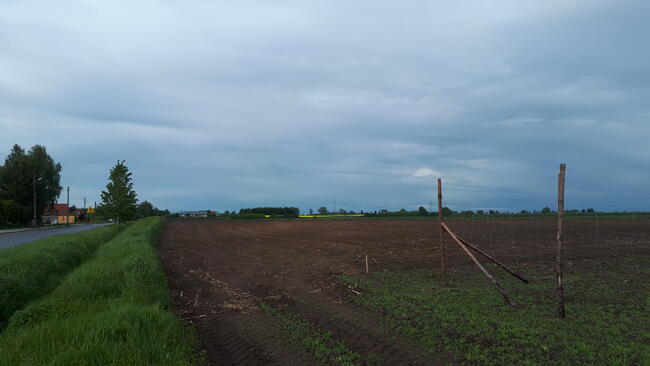 działka zagrodowo-siedliskowa, Kutno, Sieciechów