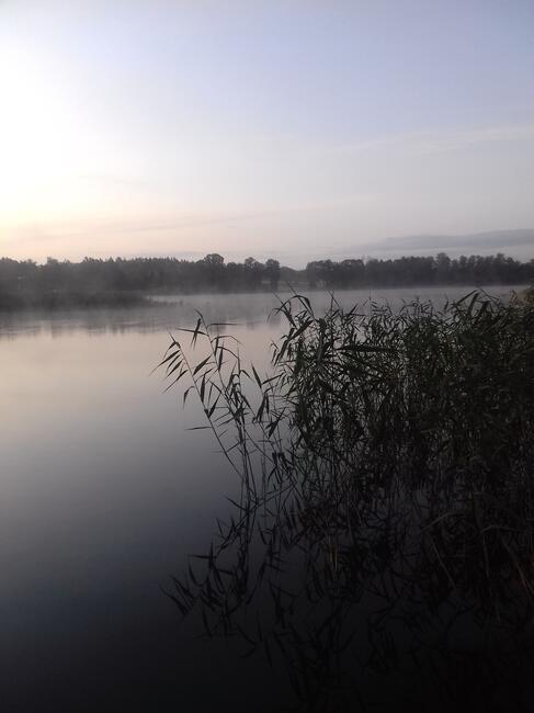poznam kobiete o pełniejszych kobiecych kształtach.