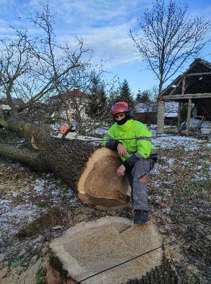 Ścinka wycinka drwal alpinista sekcyjna scinka drzew