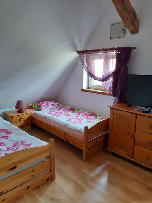 Wypoczynek nad morzem i stawami