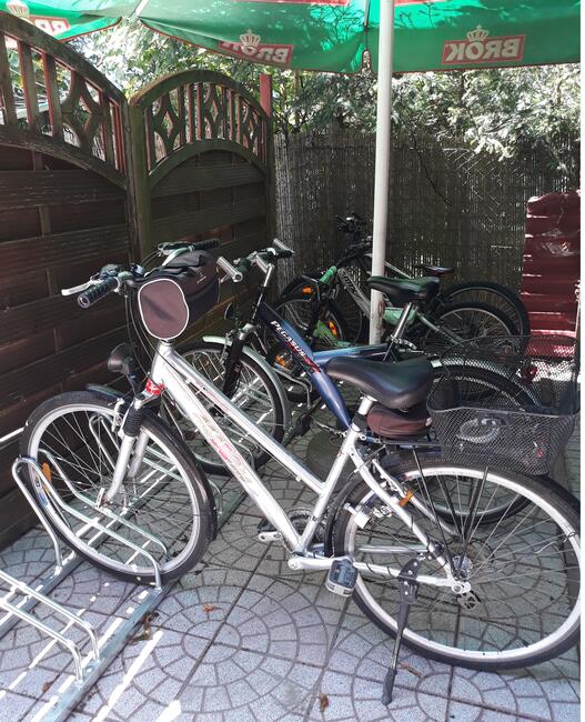 Wypoczynek nad morzem i stawami