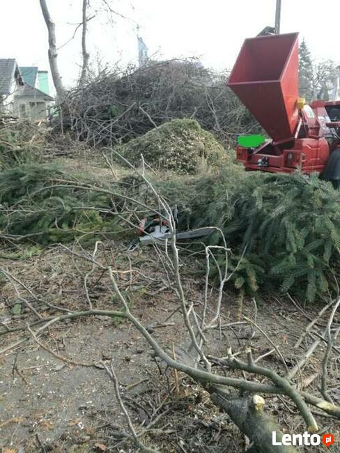 Wycinka drzew zrebkowanie gałęzi