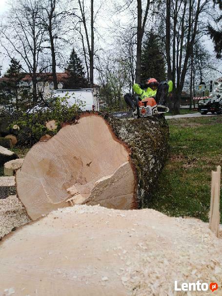Wycinka drzew zrebkowanie gałęzi