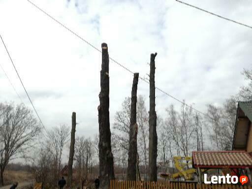 Wycinka drzew zrebkowanie gałęzi
