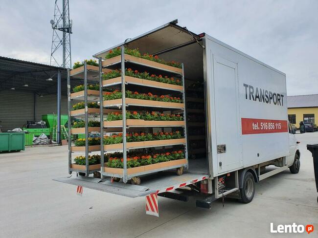 Transport Usługi Transportowe Piaseczno Warszawa Polska