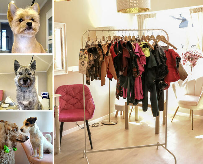 Psi Fryzjer, salon pielęgnacji psów, Groomer, Poznań